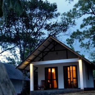 Фотография мини отеля The Countryside Udawalawe