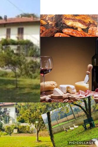 Фотография мини отеля Oca Carolina