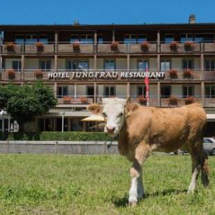 Фотографии гостиницы 
            Jungfrau Hotel