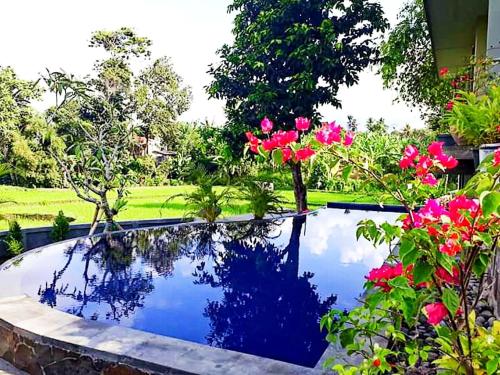 Фотография мини отеля Medewi Beach View Villa