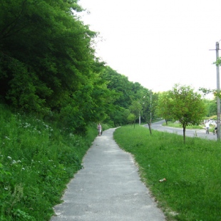 Фотография достопримечательности Замарстыновский парк