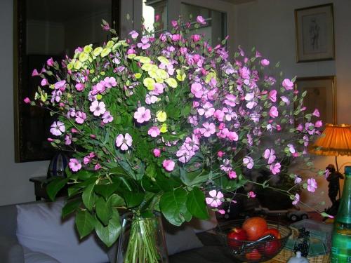 Фотография мини отеля B&B - Chambres d'hôtes Le Foch