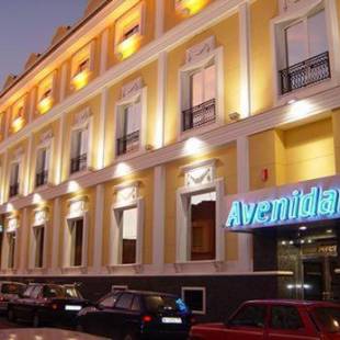 Фотографии гостиницы 
            Hotel Avenida Leganés