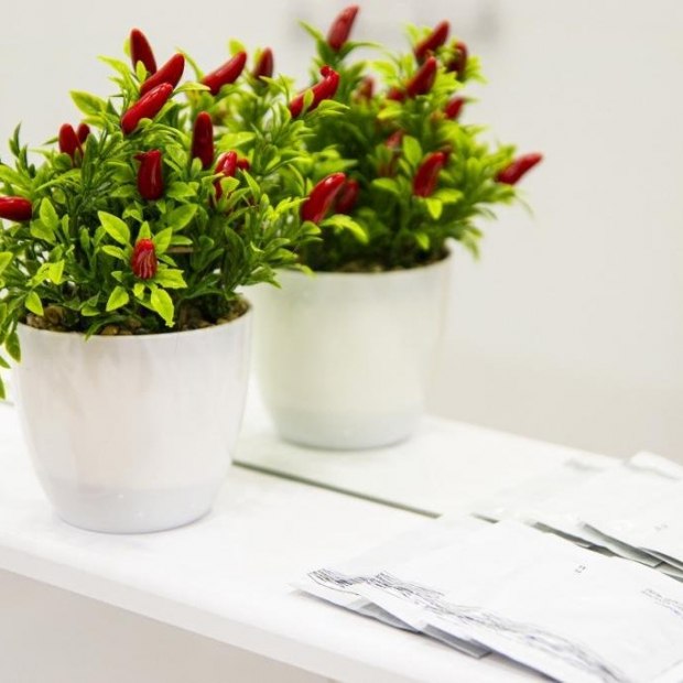 Фотографии квартиры
RENT-сервис (Рент-сервис) на Звездова