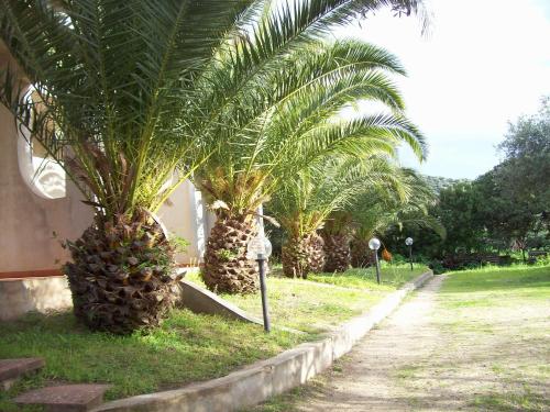 Фотография гостевого дома Villa del Palmeto