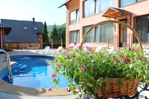 Фотографии гостиницы
Мелодия Гор