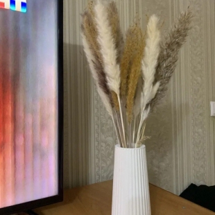 Фотография квартиры Квартира Пресня 60