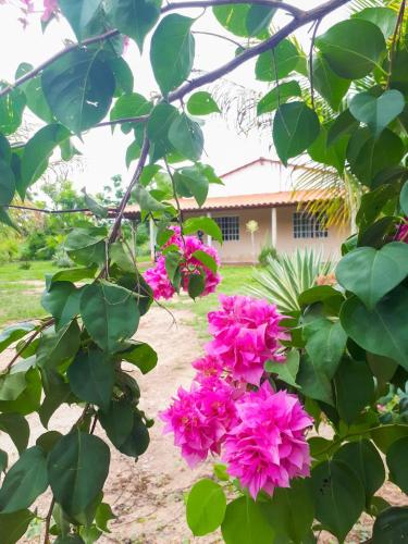 Фотография гостевого дома Sítio Rupestre - Peruaçu