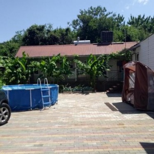 Фотография мини отеля Пальмовый дворик