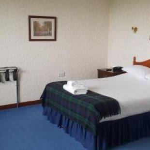 Фотографии мини отеля
Bruce Hotel