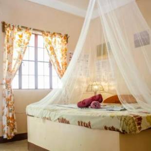 Фотографии мини отеля
Amami Garden Hostel