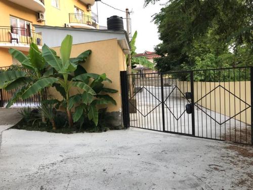 Фотография гостевого дома Олимпийский Оазис