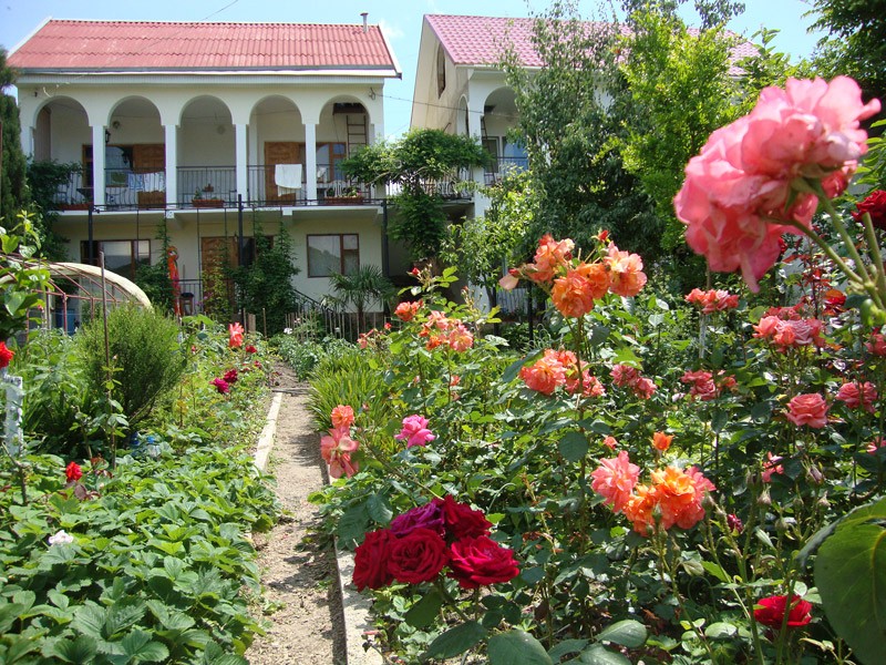 Фотография мини отеля Светлячок