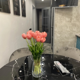 Фотография квартиры Квартира Северный Ветер