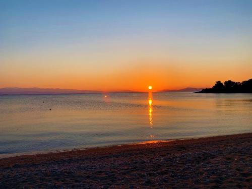 Фотография гостевого дома HORTO HOUSE