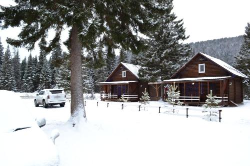 Фотография гостиницы Нарва Club