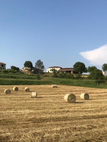 Фотография гостевого дома Antico Stemma di Corte Meneghella
