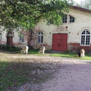 Фотографии гостиницы
Hotel Mathildedal