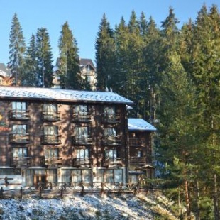 Фотография гостиницы Гора