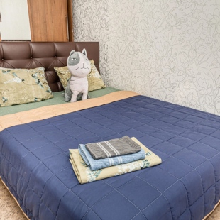 Фотография квартиры Квартира Рэдиссон Блю ждёт своих гостей