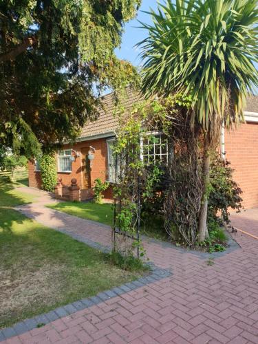 Фотография мини отеля York Rose B&B