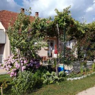 Фотография мини отеля Frile Apartments