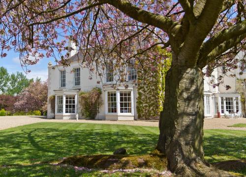 Фотография гостиницы Tickton Grange Hotel