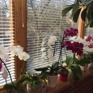 Фотографии гостевого дома
Margaréta Panzió