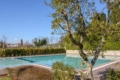 Фотография гостиницы The Ziba Hotel & Spa