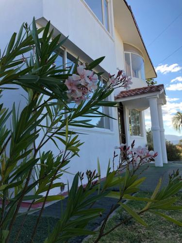 Фотография мини отеля Springhills Quito Airport