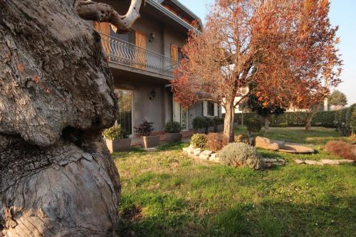 Фотография гостевого дома Magnolia