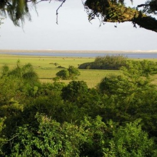 Фотография гостевого дома Aldeia Santuario das Aves