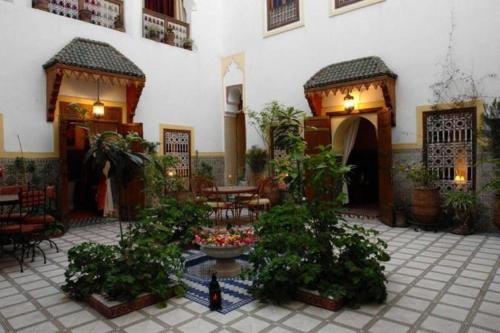 Фотографии мини отеля
Riad Dalia