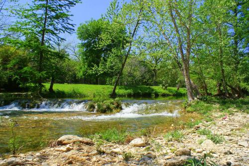 Фотография гостевого дома Chili Pepper Falls