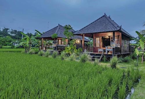 Фотография базы отдыха Keramas Surf Camp