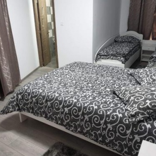 Фотография гостевого дома Pensiunea Gallamar