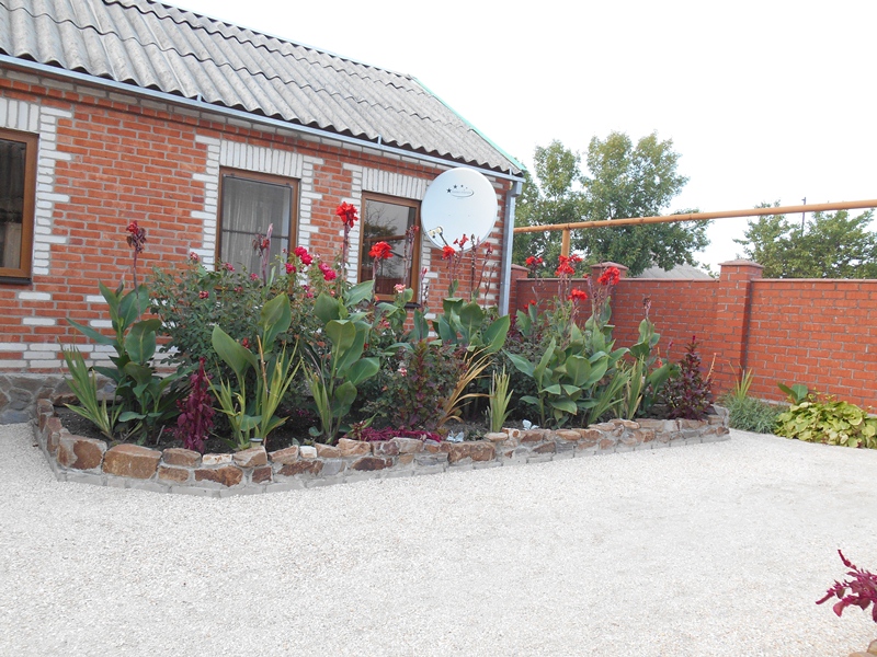 Фотография гостевого дома У дельфина