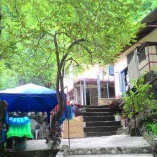 Фотография гостевого дома Гостевой дом