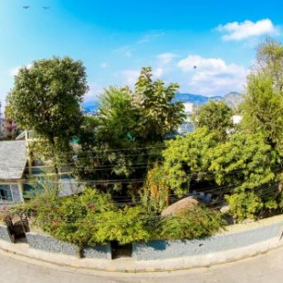 Фотография гостиницы Gaurishankar Backpackers hostel