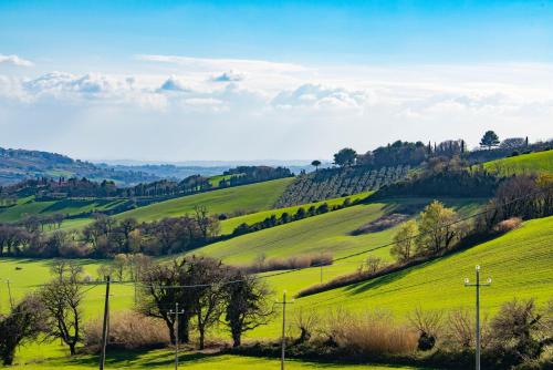 Фотография базы отдыха Agriturismo il mandorlo