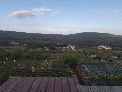 Фотография мини отеля Berryfresh