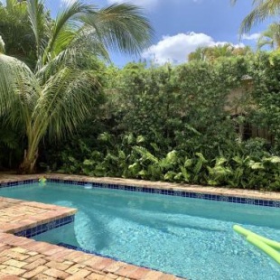 Фотография гостевого дома Casa Paradiso - 3bd2ba - Private Pool & Cabana