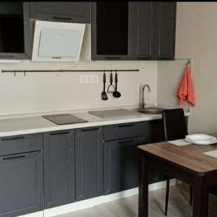 Фотография квартиры Квартира Студия Многоместная