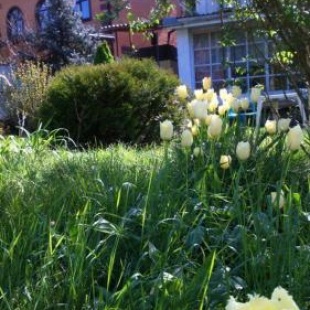 Фотография гостевого дома Forest Club