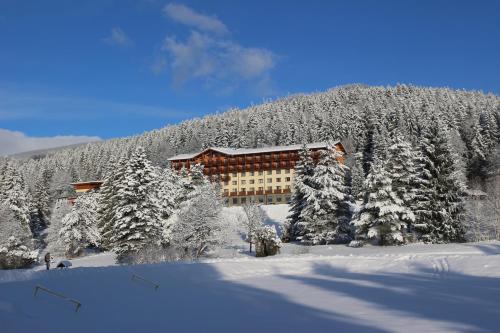 Фотография гостиницы Hotel Partizán