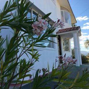 Фотографии мини отеля
Springhills Quito Airport