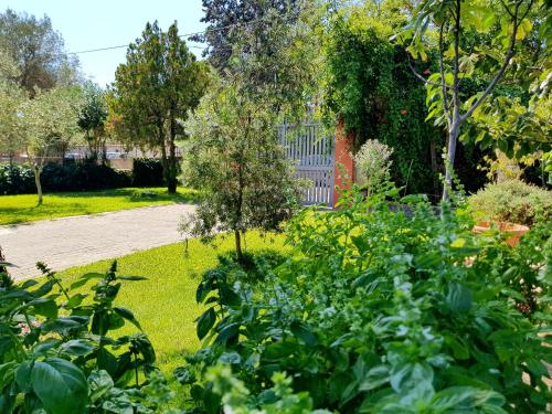 Фотография мини отеля B&B Welcome