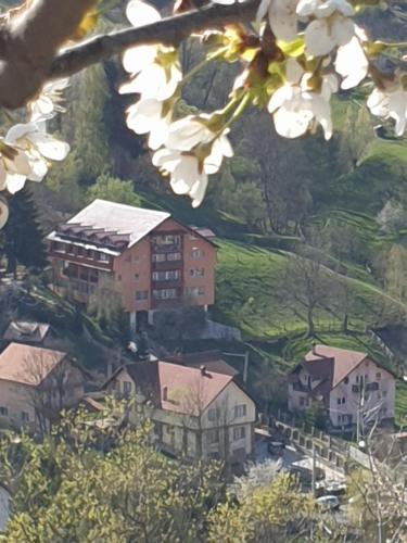 Фотография гостевого дома Vila Muntii Bucegi