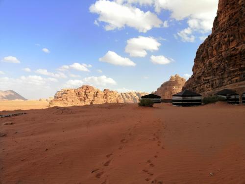 Фотография кемпинга Qais Camp Wadi Rum