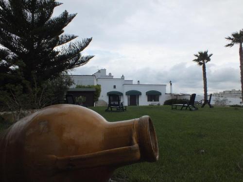 Фотографии мини отеля
B&B Donna Luisa